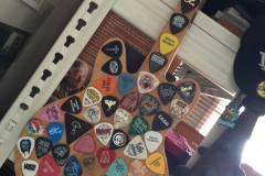 Guitar Pick Collection