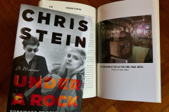 Blondie Chris Stein's Memoir - Under A Rock