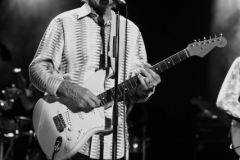 Al Jardine, Beach Boys