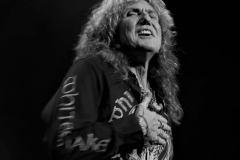 David Coverdale, Whitesnake