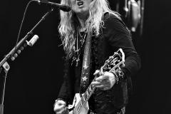 Joel Hoekstra, Whitesnake