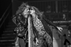 Joe Perry & Steve Tyler, Aerosmith