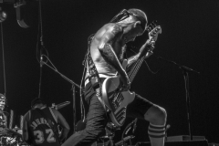 Flea, Red Hot Chili Peppers