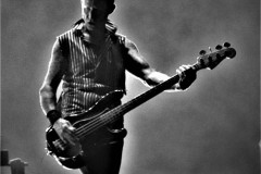 Mike Dirnt, Green Day