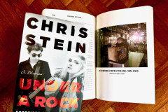 Blondie Chris Stein's Memoir - Under A Rock