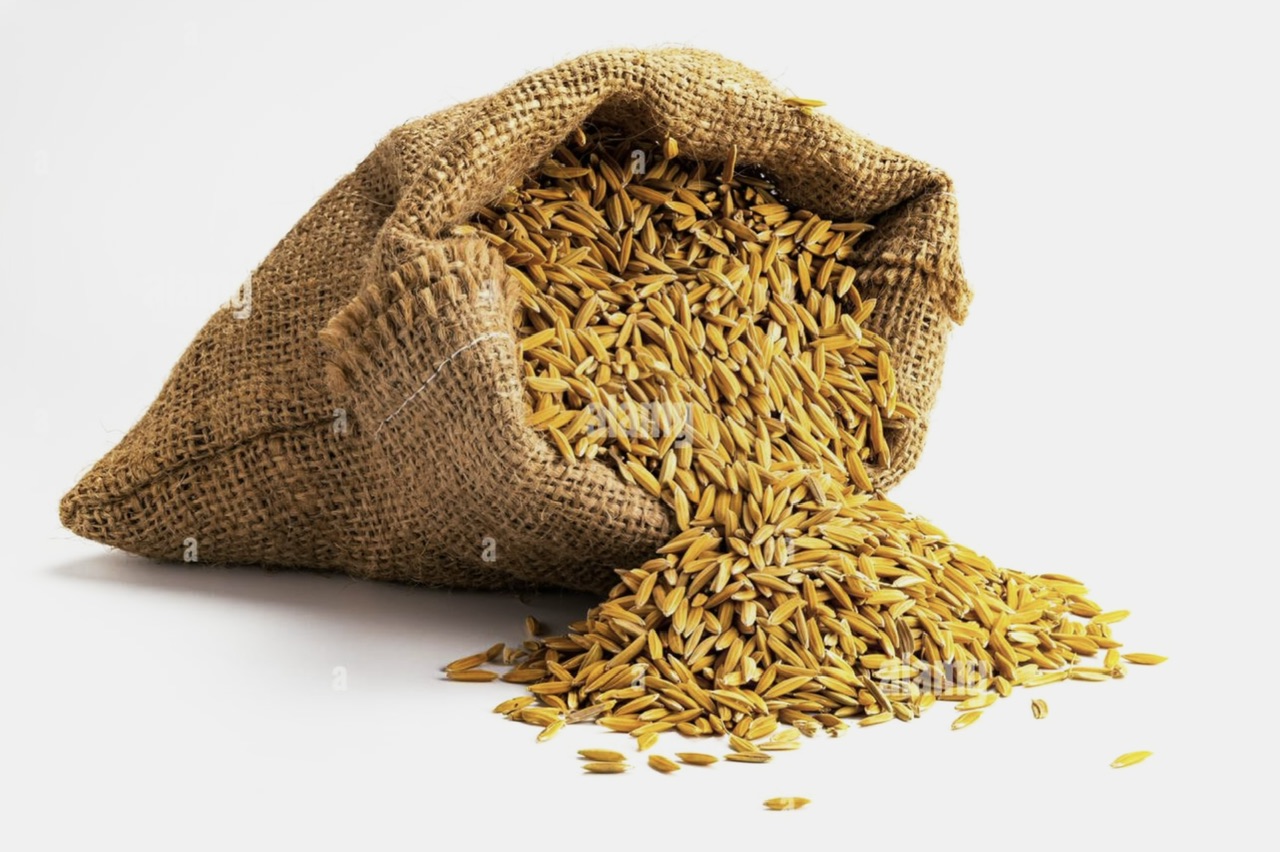 Gunny Sacking Eddie Sung