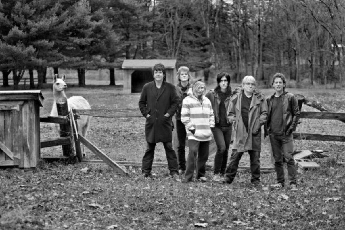 Blondie and Llama in Woodstock