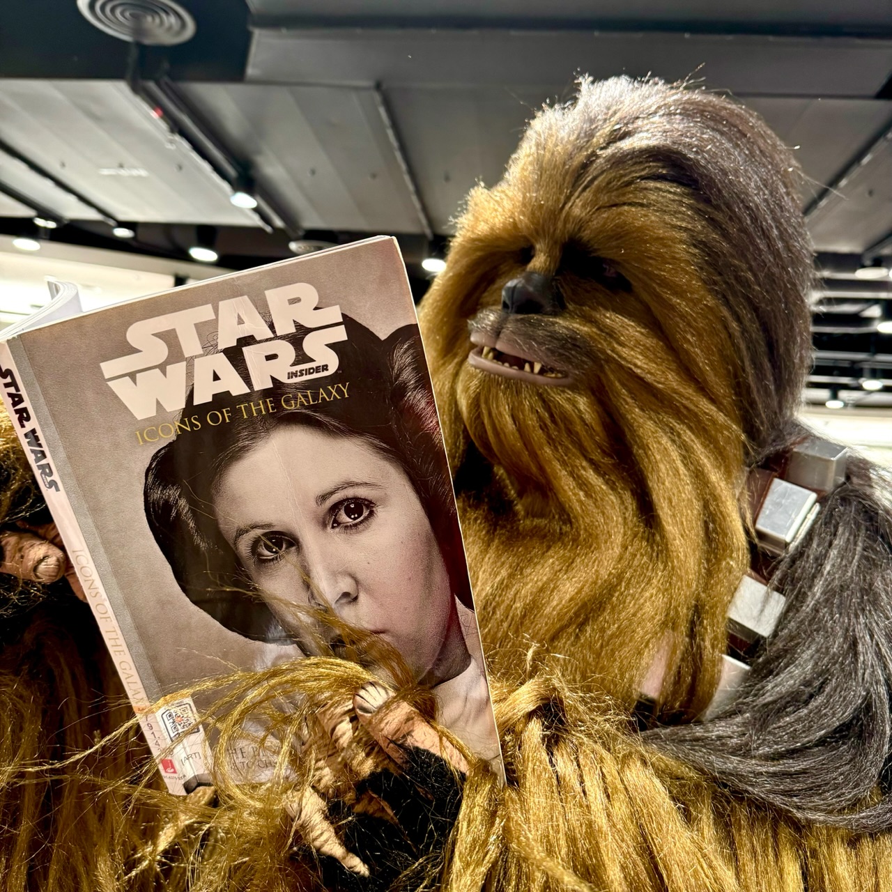 May The 4th 2026