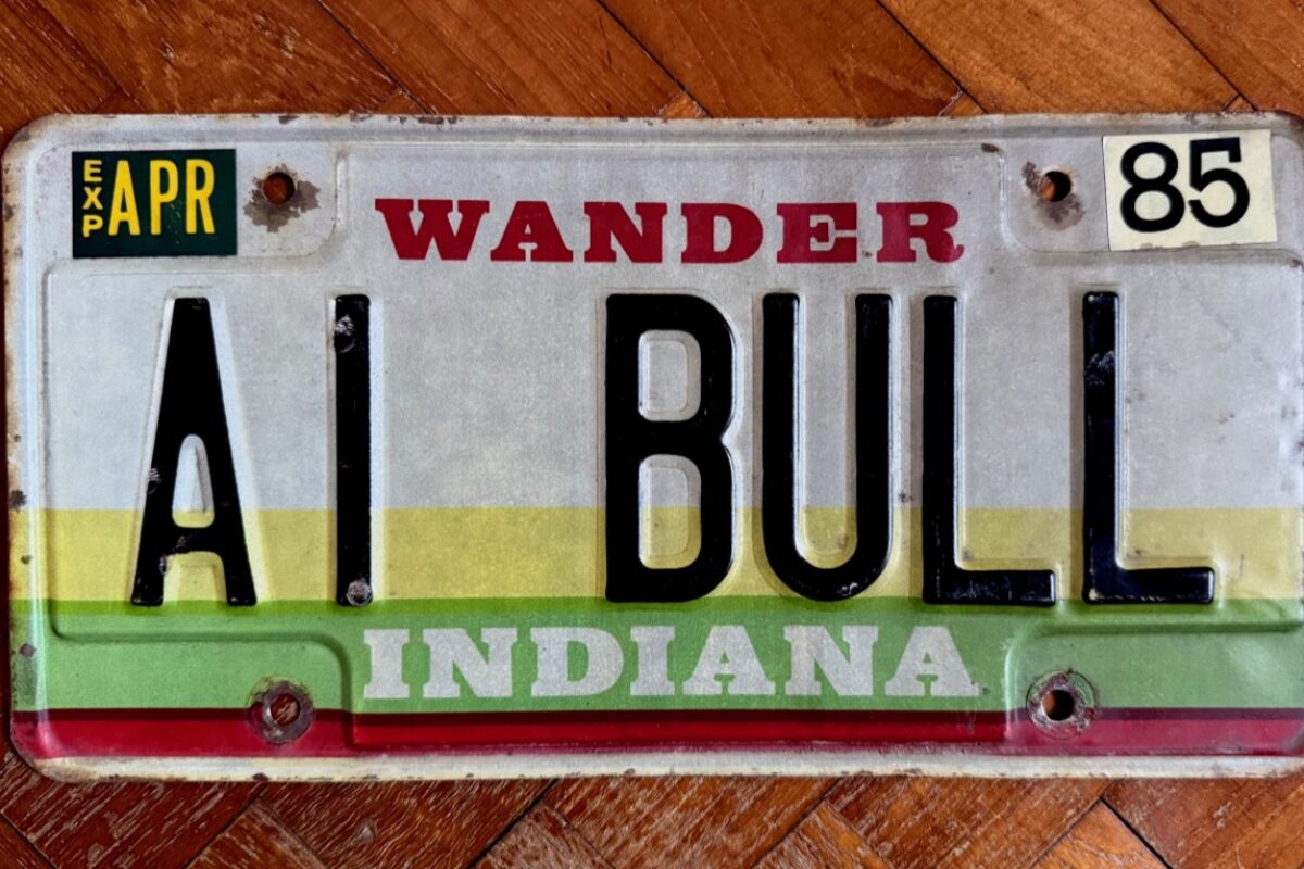 AI BULL